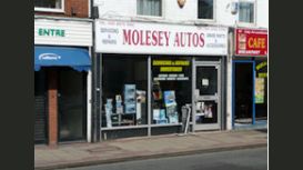 Molesey Autos